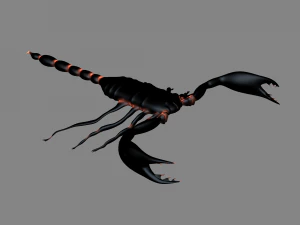 Insect angamiana floridula 3D Model