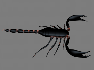 Insect angamiana floridula Modèle 3D
