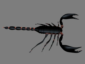 Insect angamiana floridula 3D Model