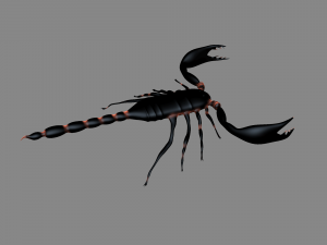 Insect angamiana floridula Modèle 3D