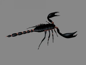 Insect angamiana floridula 3D Model