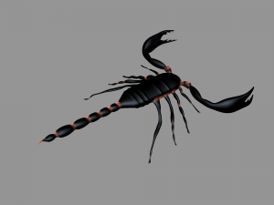 Insect angamiana floridula Modèle 3D