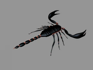 Insect angamiana floridula 3D Model