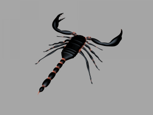 Insect angamiana floridula Modèle 3D