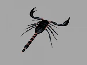 Insect angamiana floridula 3D Model