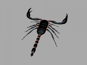 Insect angamiana floridula Modèle 3D