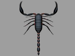 Insect angamiana floridula Modèle 3D