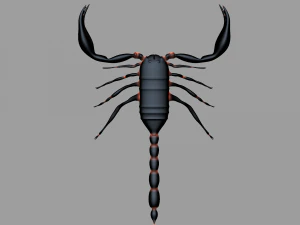 Insect angamiana floridula 3D Model