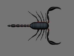 Insect angamiana floridula Modèle 3D