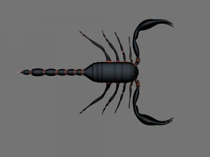 Insect angamiana floridula 3D Model