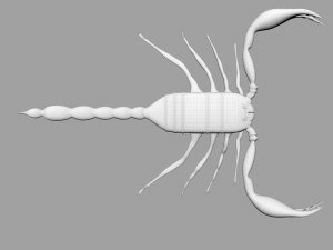 Insect angamiana floridula Modèle 3D