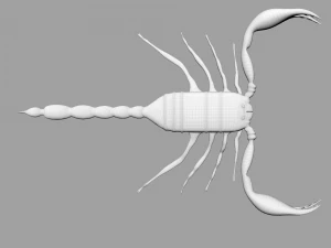 Insect angamiana floridula 3D Model