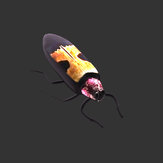 Insect Chrysochroa buqueti rugicollis Modelo 3D .c4d .max .obj .3ds .fbx .stl .blend 