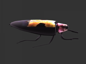 Insect Chrysochroa buqueti rugicollis Modelo 3D