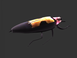 Insect Chrysochroa buqueti rugicollis Modelo 3D