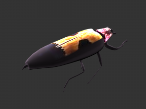 Insect Chrysochroa buqueti rugicollis Modelo 3D