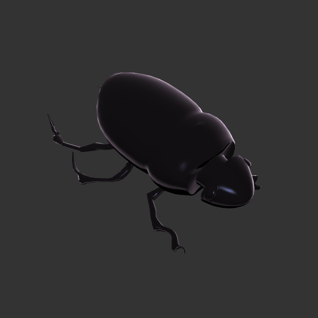 Insect Hycopris Domnus 3D Model .c4d .max .obj .3ds .fbx .stl .blend