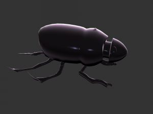 Insect Hycopris Domnus 3D Model