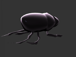 Insect Hycopris Domnus 3D Model