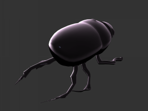 Insect Hycopris Domnus 3D Model