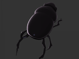 Insect Hycopris Domnus 3D Model