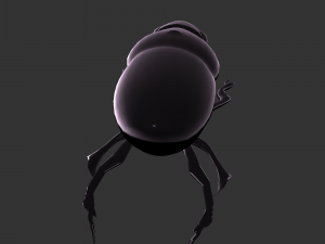 Insect Hycopris Domnus 3D Model