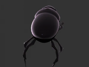 Insect Hycopris Domnus 3D Model