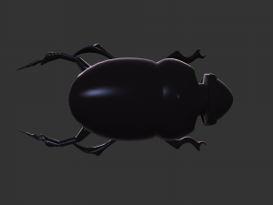 Insect Hycopris Domnus 3D Model