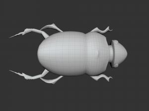 Insect Hycopris Domnus 3D Model