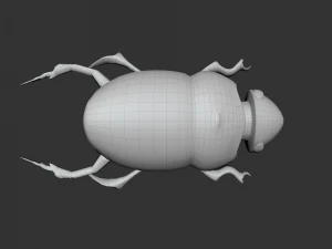 Insect Hycopris Domnus 3D Model