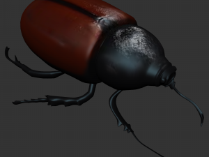 Insect Tupatolus gradiliscornis 3D Model