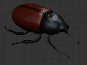 Insect Tupatolus gradiliscornis Modelo 3D
