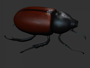 Insect Tupatolus gradiliscornis Modelo 3D