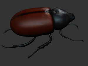 Insect Tupatolus gradiliscornis Modelo 3D