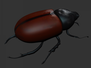 Insect Tupatolus gradiliscornis Modelo 3D