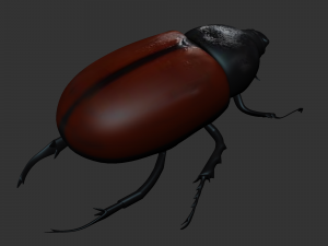 Insect Tupatolus gradiliscornis Modelo 3D