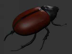 Insect Tupatolus gradiliscornis 3D Model