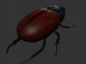 Insect Tupatolus gradiliscornis Modelo 3D
