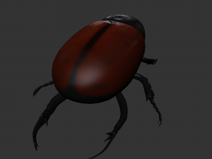 Insect Tupatolus gradiliscornis Modelo 3D
