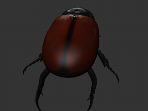 Insect Tupatolus gradiliscornis Modelo 3D