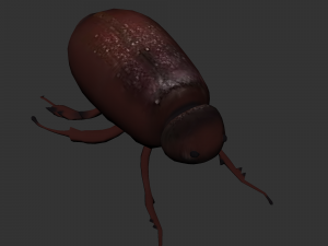Insect Lepidiota stigma 3D Model