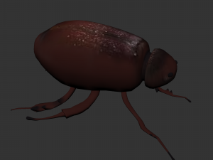 Insect Lepidiota stigma 3D मॉडल