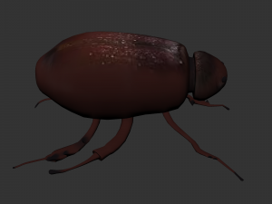 Insect Lepidiota stigma 3D मॉडल