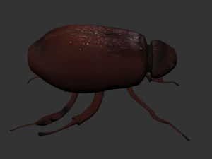 Insect Lepidiota stigma 3D Model