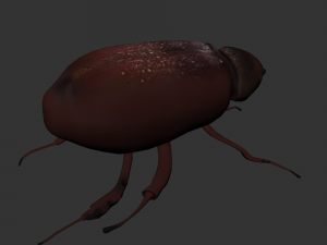 Insect Lepidiota stigma 3D मॉडल