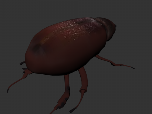 Insect Lepidiota stigma 3D मॉडल