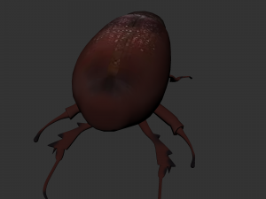 Insect Lepidiota stigma 3D मॉडल