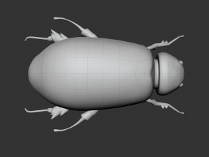 Insect Lepidiota stigma 3D मॉडल