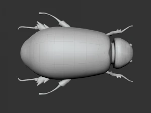Insect Lepidiota stigma 3D Model