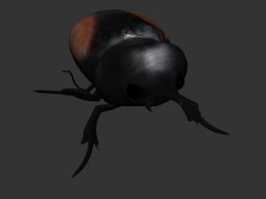 Insect Neolucanus parryi 3D मॉडल